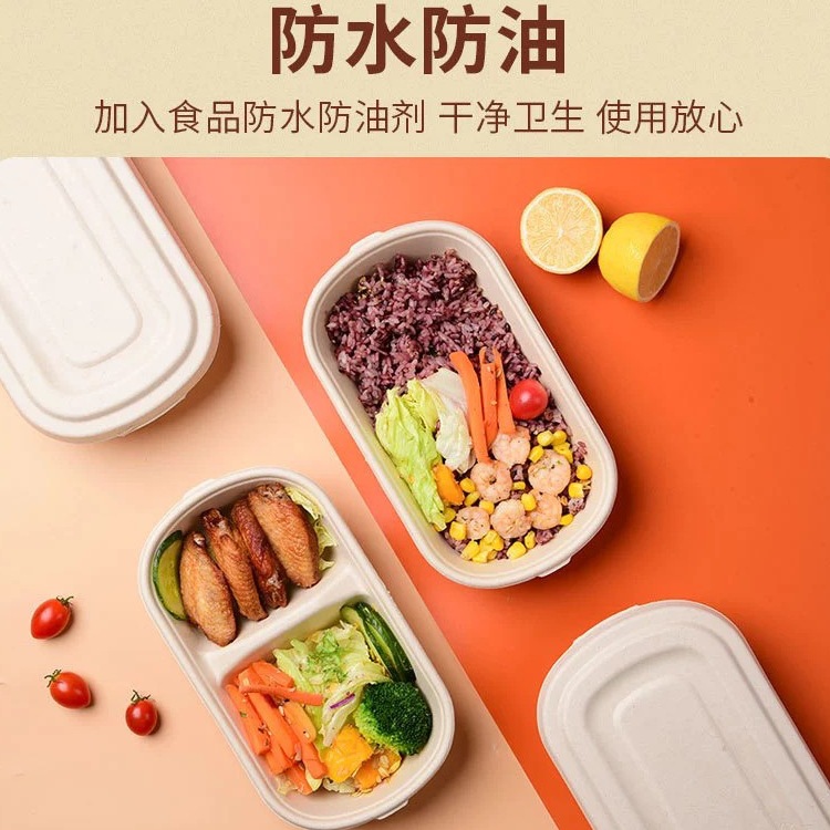 Compostable Salad Bento Box – Fitness Light Meal Mochi Divided Takeout Container