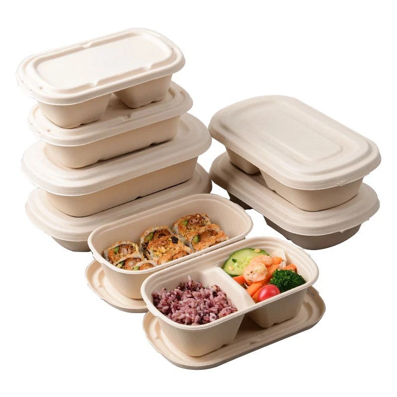 Compostable Salad Bento Box – Fitness Light Meal Mochi Divided Takeout Container