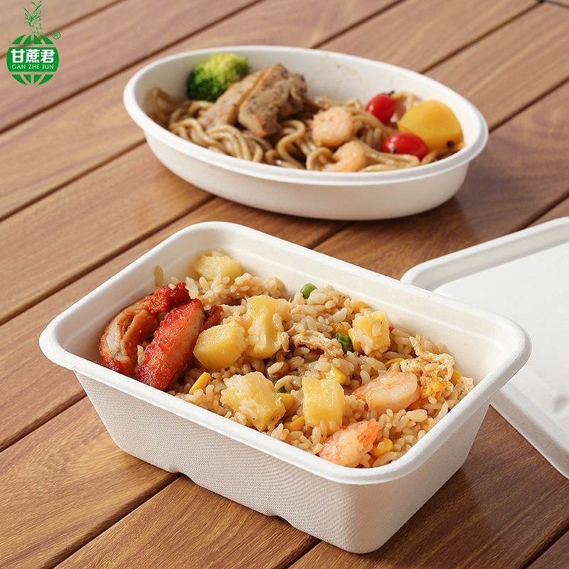 Compostable Sugarcane Pulp Square Takeout Box – Salad Picnic Bento Container