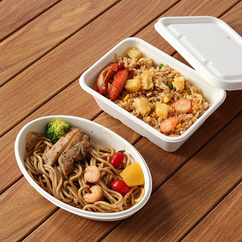 Compostable Sugarcane Pulp Square Takeout Box – Salad Picnic Bento Container