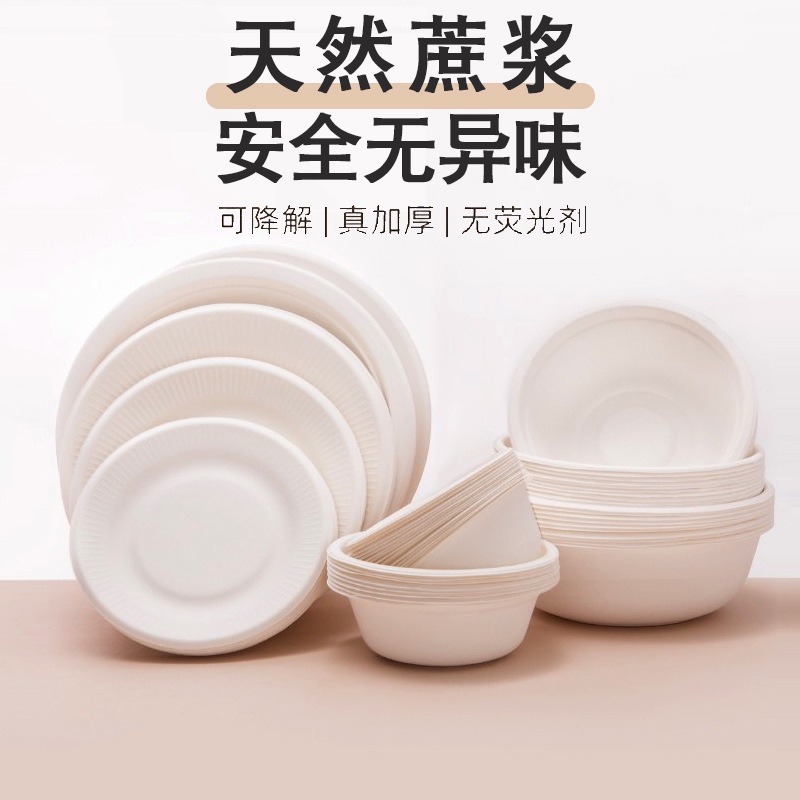 Sugarcane Pulp Plate & Bowl Camping Set – Disposable BBQ Heavy-Duty Outdoor Kit