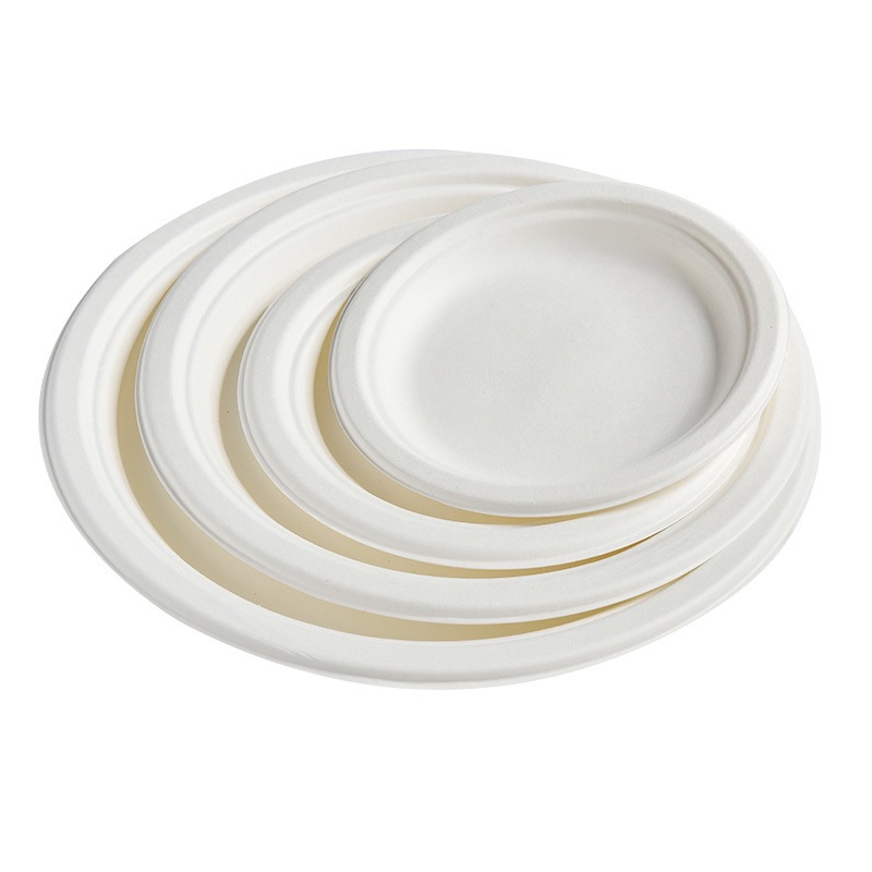 Sugarcane Pulp Plate & Bowl Camping Set – Disposable BBQ Heavy-Duty Outdoor Kit