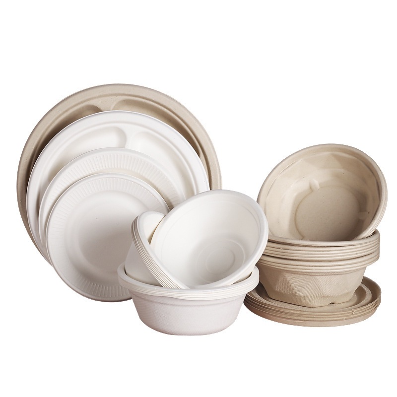 100-Pack Disposable Paper Plates & Bowls – Sugarcane Pulp Home Picnic Party Set