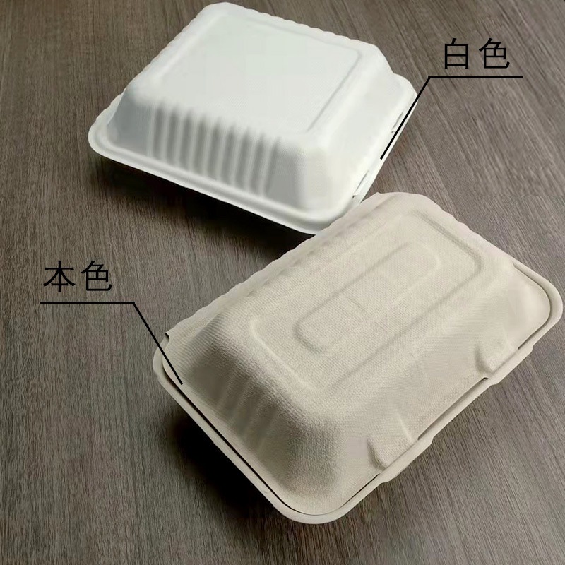 Compostable Paper Lunch Box – Fried Rice Noodle BBQ Takeout Container