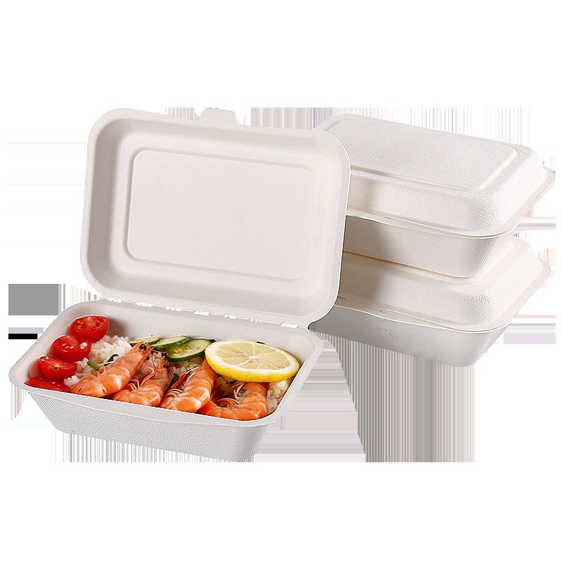 Compostable Paper Lunch Box – Fried Rice Noodle BBQ Takeout Container