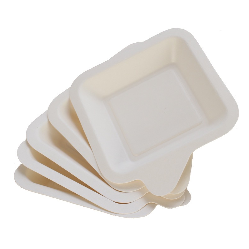 Compostable 5-Pack Cake Plate Set – Heart & Square Sugarcane Pulp Platters