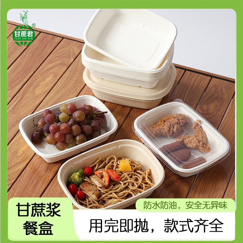 Compostable Rectangular Sugarcane Pulp Box – Fruit Salad Light Meal Picnic Container