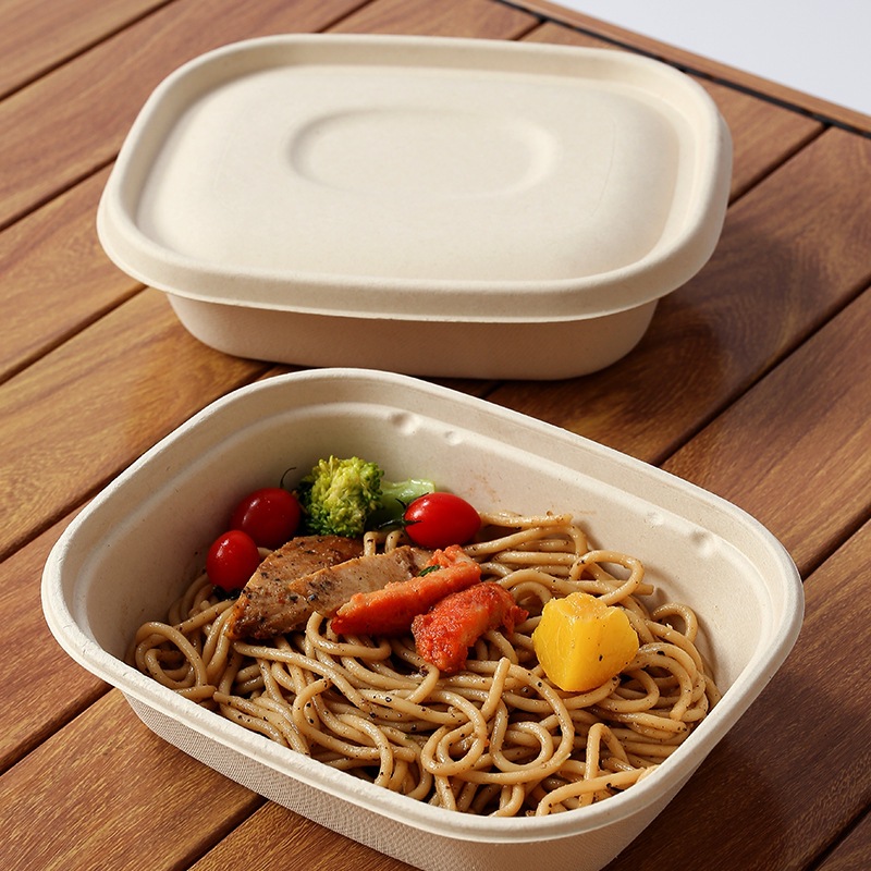 Compostable Rectangular Sugarcane Pulp Box – Fruit Salad Light Meal Picnic Container