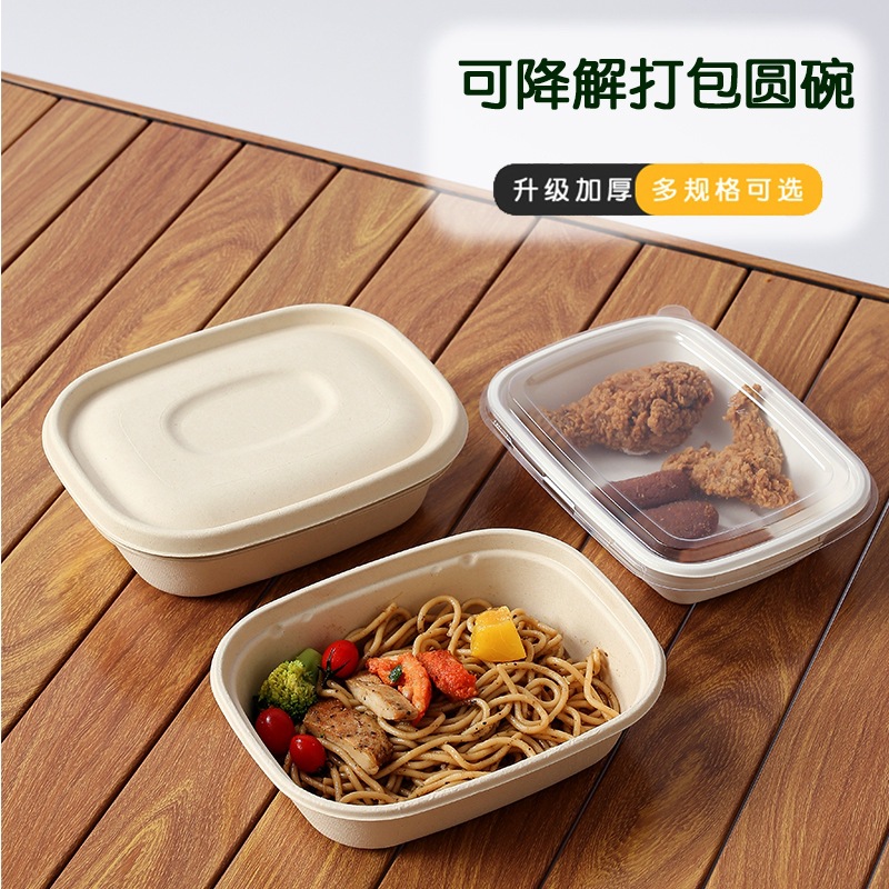 Compostable Rectangular Sugarcane Pulp Box – Fruit Salad Light Meal Picnic Container