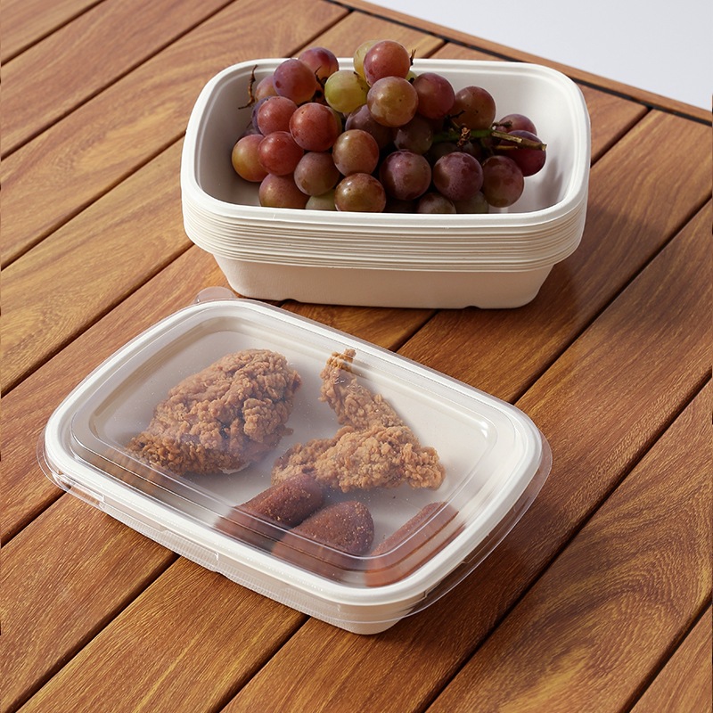 Compostable Rectangular Sugarcane Pulp Box – Fruit Salad Light Meal Picnic Container