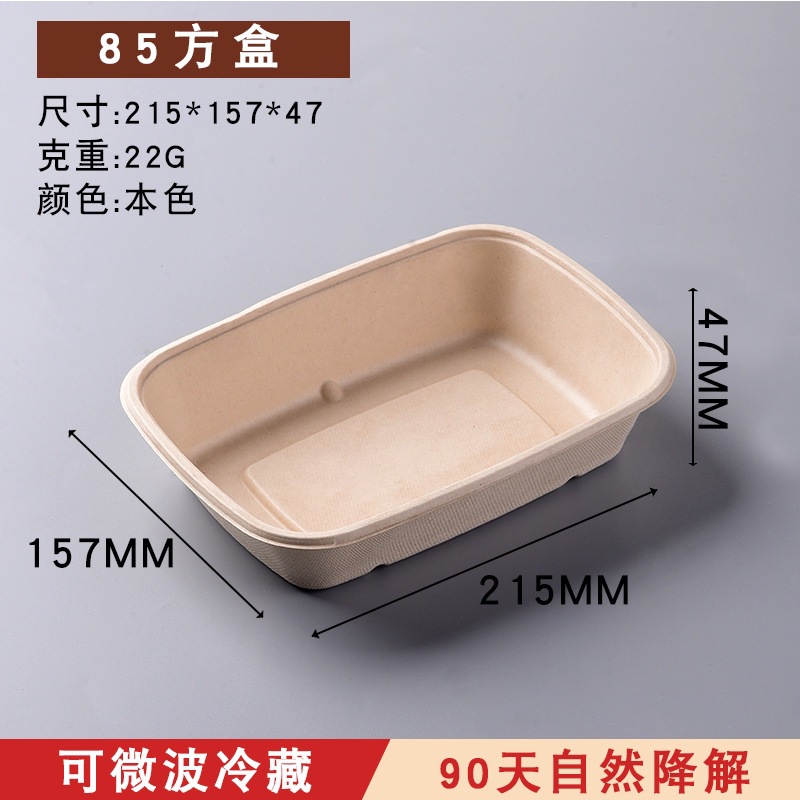 Compostable Rectangular Sugarcane Pulp Box – Fruit Salad Light Meal Picnic Container