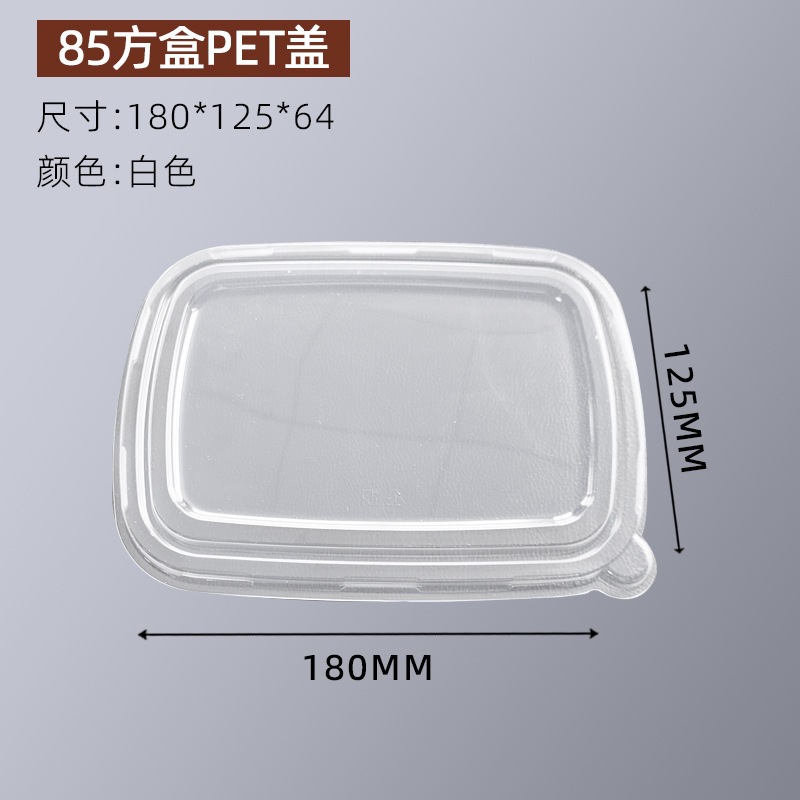 Compostable Rectangular Sugarcane Pulp Box – Fruit Salad Light Meal Picnic Container