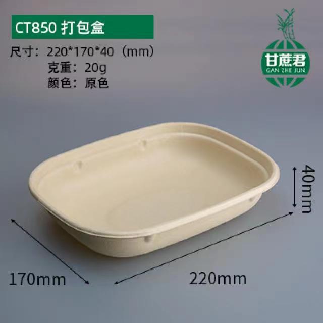 Compostable Rectangular Sugarcane Pulp Box – Fruit Salad Light Meal Picnic Container