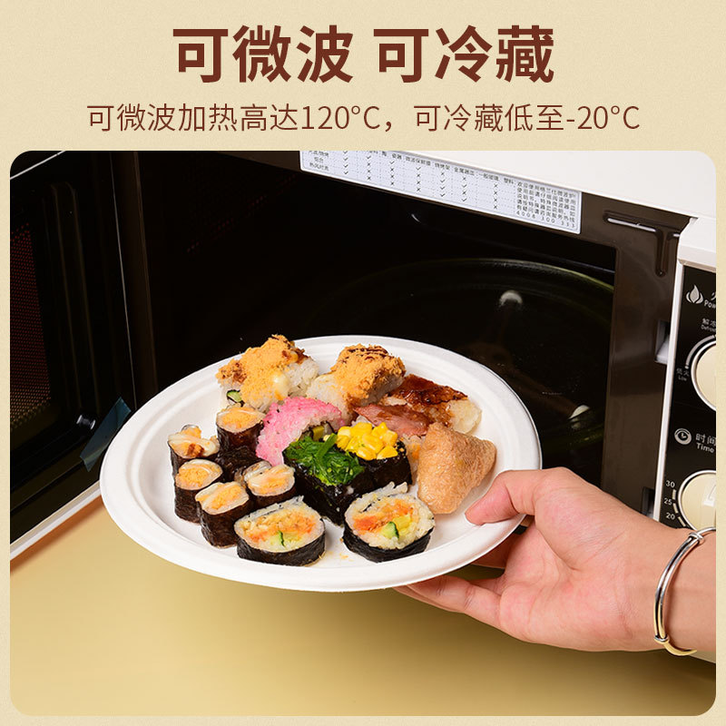 Compostable Paper Plates & Bowls – Sugarcane Pulp BBQ Party Painting Dishes