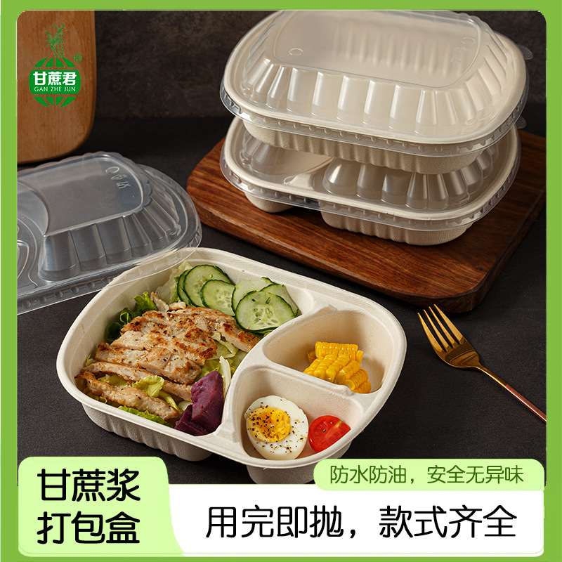 Compostable High-Cover 3-Compartment Lunch Box – Single/Double Pulp Salad Container
