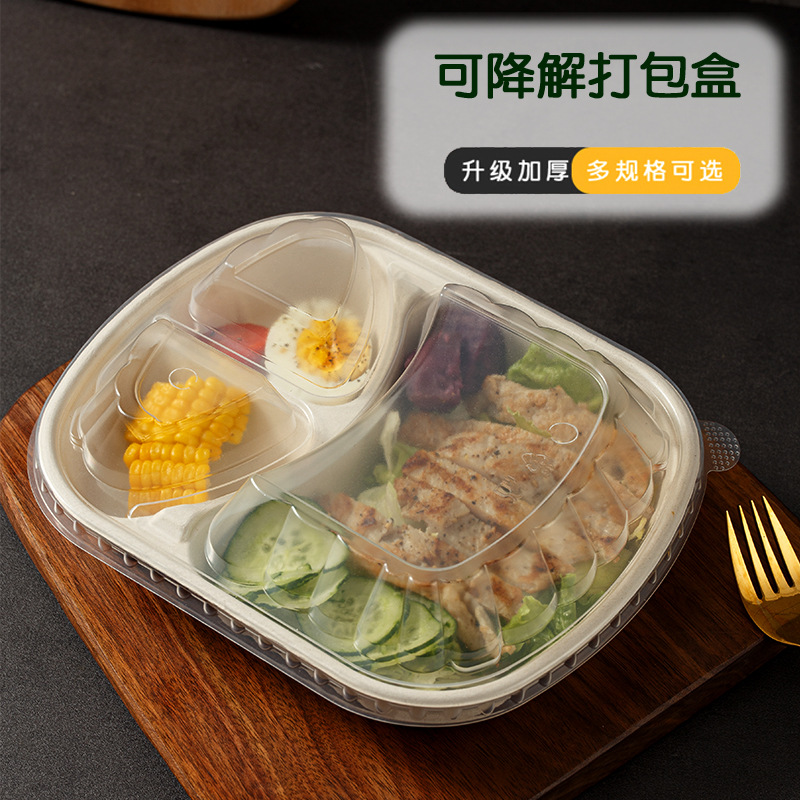 Compostable High-Cover 3-Compartment Lunch Box – Single/Double Pulp Salad Container