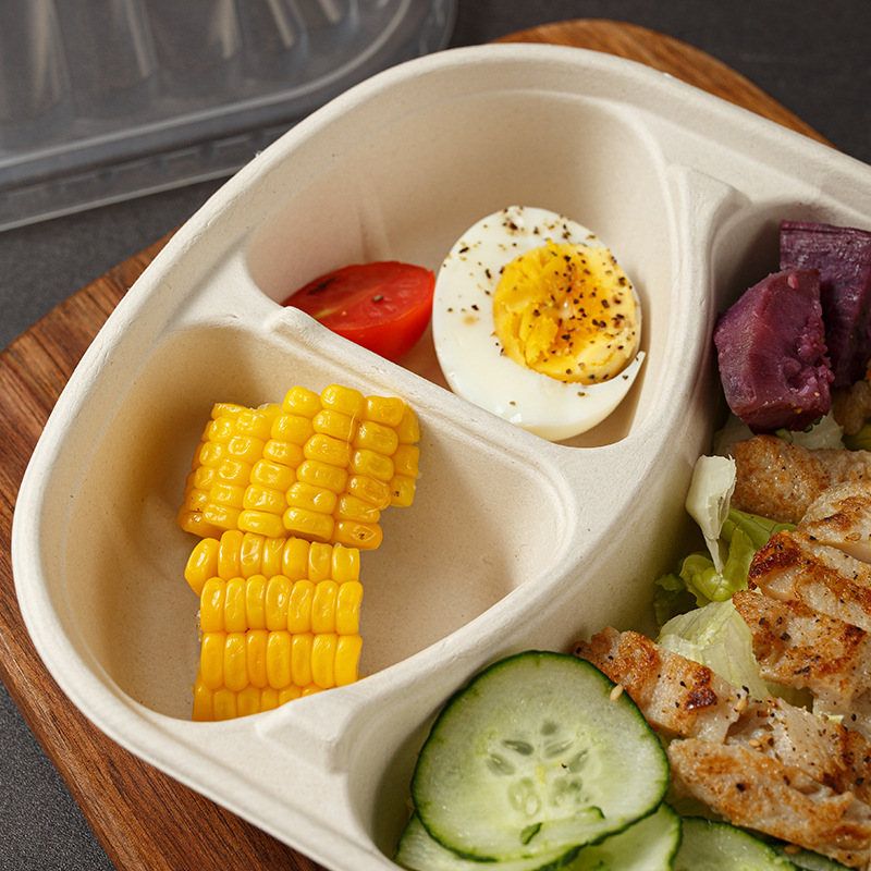 Compostable High-Cover 3-Compartment Lunch Box – Single/Double Pulp Salad Container