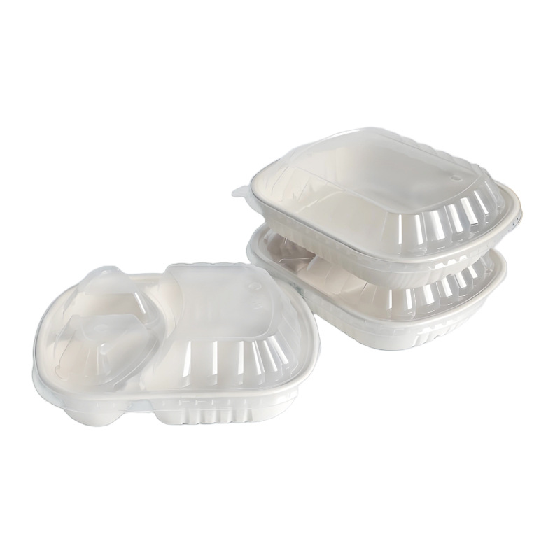 Compostable High-Cover 3-Compartment Lunch Box – Single/Double Pulp Salad Container