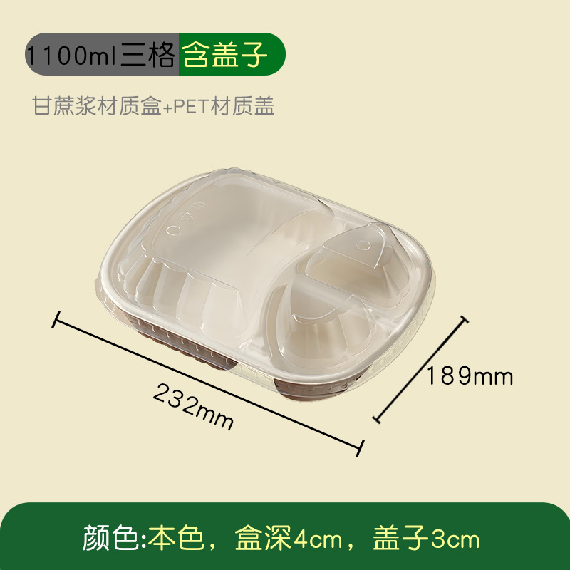 Compostable High-Cover 3-Compartment Lunch Box – Single/Double Pulp Salad Container